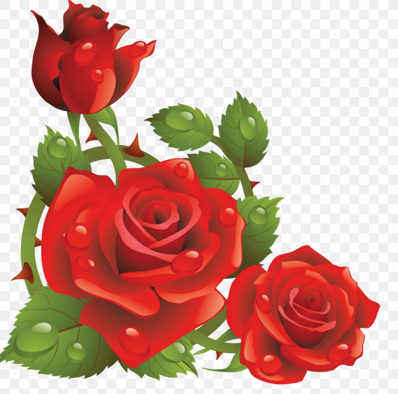 Rose Flower Red Clip Art, PNG, 1091x1080px, Rose, Cut Flowers, Floral Design, Floribunda, Floristry Download Free