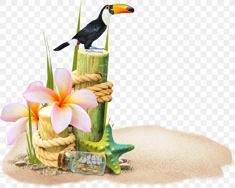 Sea Beach, PNG, 1200x961px, Sea, Beach, Bird, Fauna, Figurine Download Free
