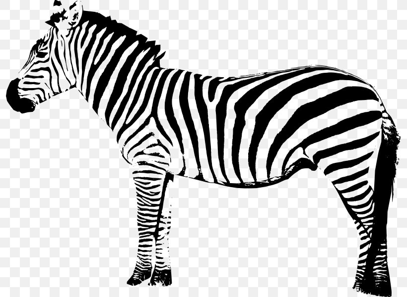 Zebra Art Clip Art, PNG, 795x600px, Zebra, Animal Figure, Art, Black And White, Horse Like Mammal Download Free