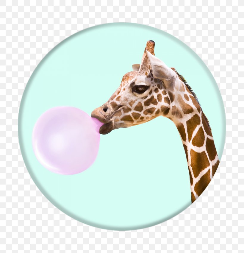 Chewing Gum Bubble Gum Mobile Phones PopSockets, PNG, 700x850px, Chewing Gum, Aries Apparel, Bubble, Bubble Gum, Candy Download Free