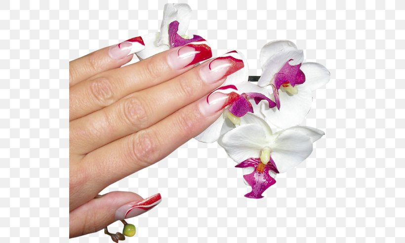 Nail Polish Manicure Nail Clippers Franske Negle, PNG, 540x492px, Nail, Beauty Parlour, Cosmetics, Cut Flowers, Fashion Download Free
