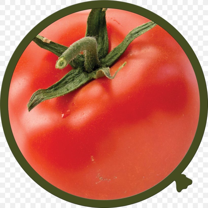 Plum Tomato Bush Tomato Food Bell Pepper, PNG, 1024x1024px, Plum Tomato, Bell Pepper, Bell Peppers And Chili Peppers, Bush Tomato, Chili Pepper Download Free