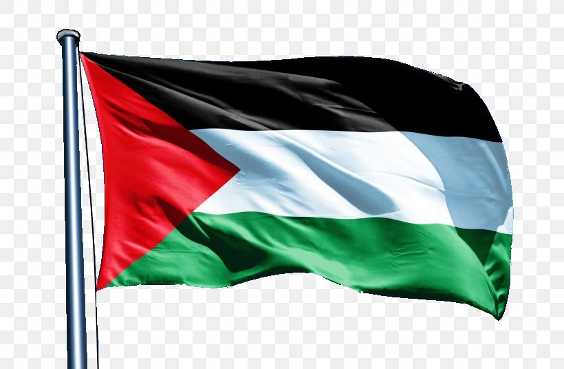 State Of Palestine Flag Of Palestine Ramallah, PNG, 800x536px, State Of Palestine, Ahed Tamimi, Flag, Flag Of Palestine, Israel Download Free