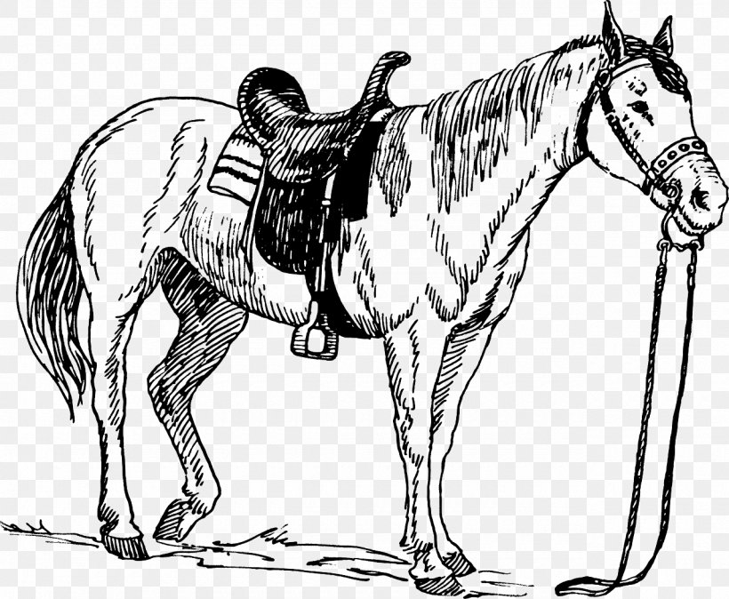 Horse Saddle Drawing Equestrian, PNG, 1280x1053px, Horse, Art, Bit, Black And White, Bridle Download Free