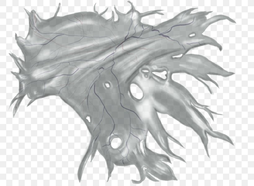 Leaf Line Art White Marine Mammal Sketch, PNG, 800x600px, Leaf, Artwork, Black And White, Dragon, Drawing Download Free