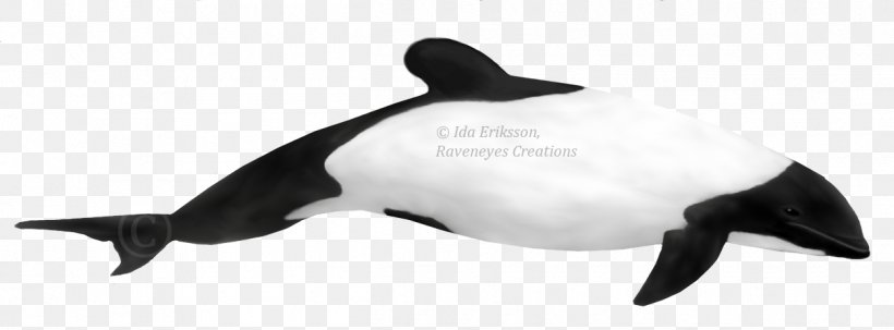 Short-beaked Common Dolphin Porpoise Toothed Whale Hector's Dolphin, PNG, 1250x462px, Dolphin, Animal, Animal Figure, Beak, Black And White Download Free