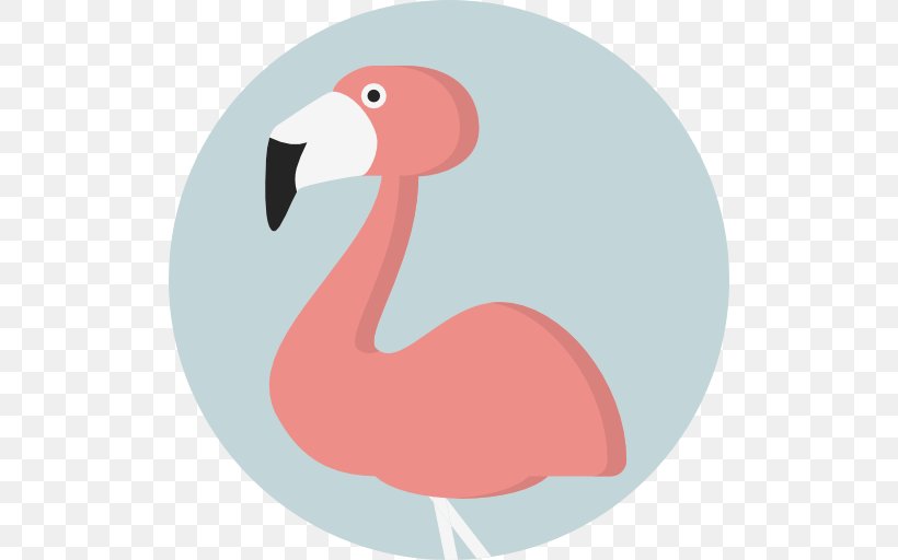 Flamingo, PNG, 512x512px, Flamingo, Beak, Bird, Information, Neck Download Free