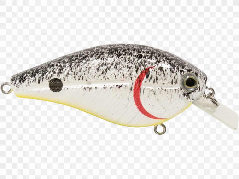 Spoon Lure Fish AC Power Plugs And Sockets, PNG, 1200x900px, Spoon Lure, Ac Power Plugs And Sockets, Bait, Fish, Fishing Bait Download Free