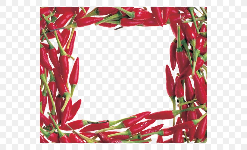Capsicum Annuum Photography Black Pepper Clip Art, PNG, 555x500px, Capsicum Annuum, Bell Peppers And Chili Peppers, Black Pepper, Capsicum, Chili Pepper Download Free