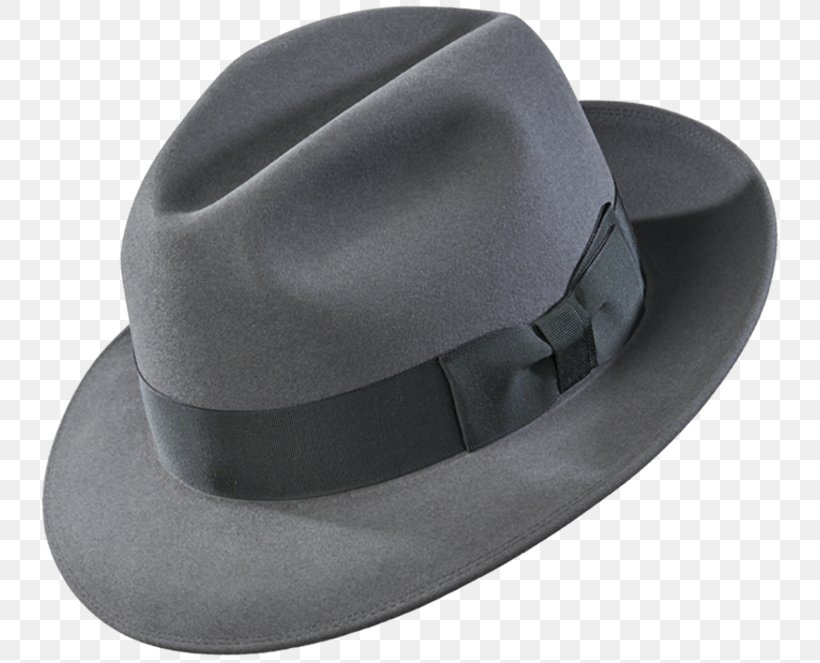 Fedora Product Design, PNG, 750x663px, Fedora, Fashion Accessory, Hat, Headgear Download Free