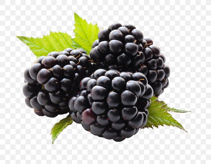 Fruit Blueberry Stock Photography BlackBerry, PNG, 768x636px, Fruit, Berry, Bilberry, Blackberry, Blueberry Download Free