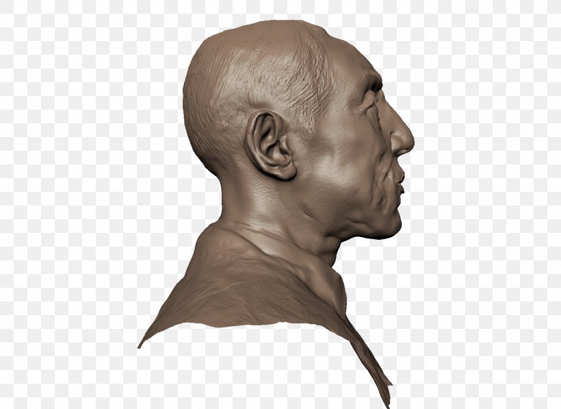 Sculpture Neck Bust Jaw Forehead, PNG, 1483x1080px, Sculpture, Bust, Forehead, Head, Jaw Download Free