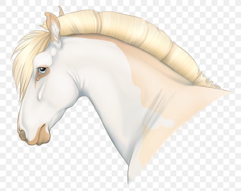 Snout Mustang Pony Halter Mane, PNG, 800x650px, 2019 Ford Mustang, Snout, Fictional Character, Ford Mustang, Halter Download Free