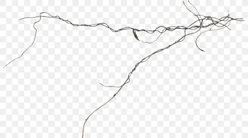 Twig Line Art Drawing Point, PNG, 800x457px, Twig, Area, Artwork, Black And White, Branch Download Free