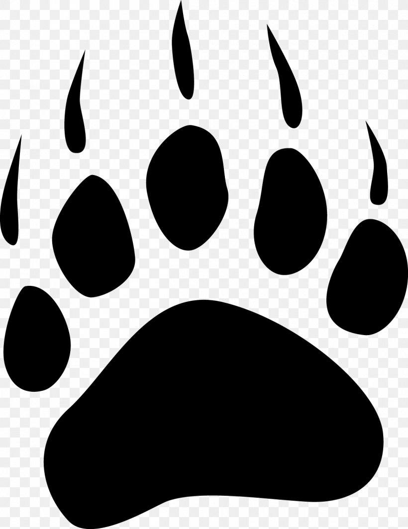 Dog American Black Bear Polar Bear Bear Claw, PNG, 1250x1623px, Dog, American Black Bear, Animal Track, Bear, Bear Claw Download Free