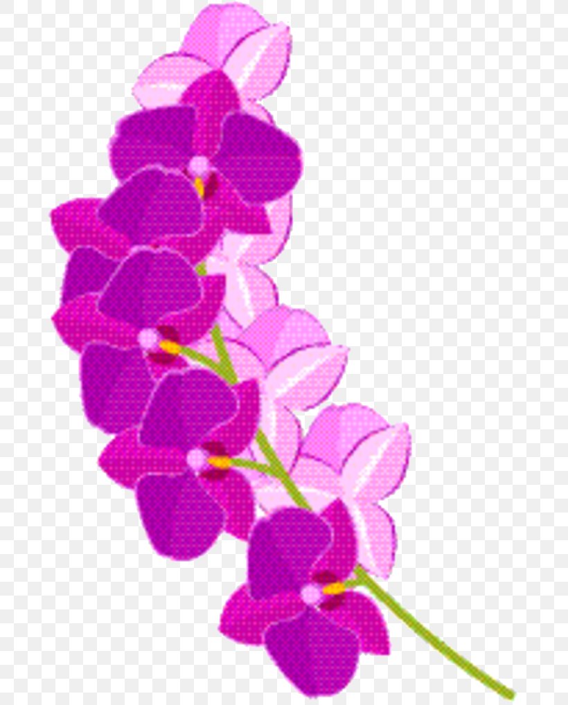 Floral Flower Background, PNG, 693x1018px, Floral Design, Cut Flowers, Dendrobium, Family, Flower Download Free