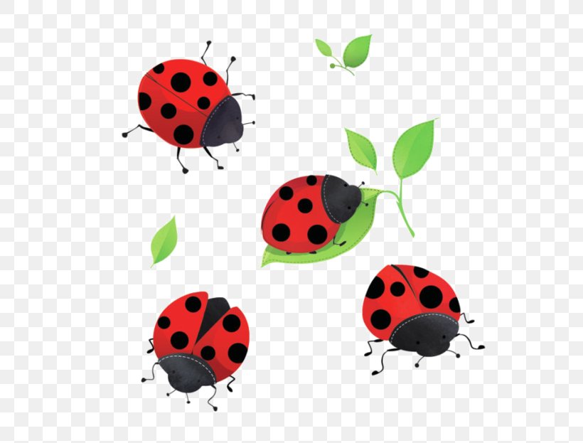 Ladybird Beetle Blog Clip Art, PNG, 600x623px, Ladybird Beetle ...