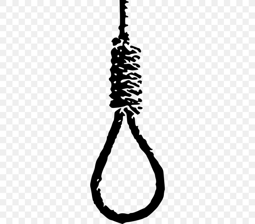 Noose Hangman's Knot Clip Art, PNG, 360x720px, Noose, Black, Black And White, Computer, Internet Forum Download Free