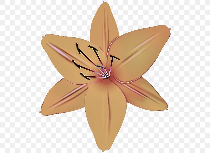 Origami, PNG, 522x600px, Petal, Flower, Lily, Origami, Paper Download Free