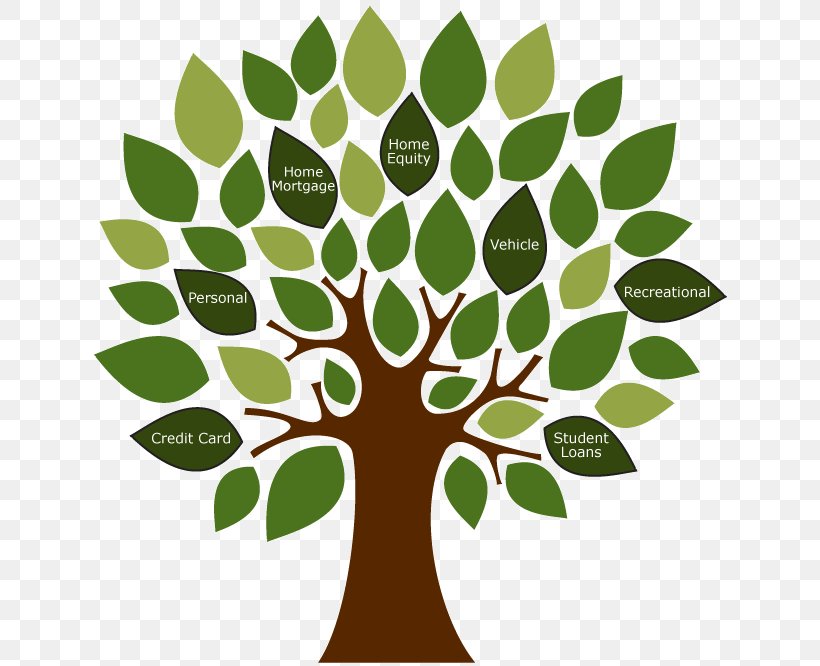 Environmentally Friendly Vector Graphics Stock Photography Tree Illustration, PNG, 638x666px, Environmentally Friendly, Botany, Branch, Drawing, Flower Download Free
