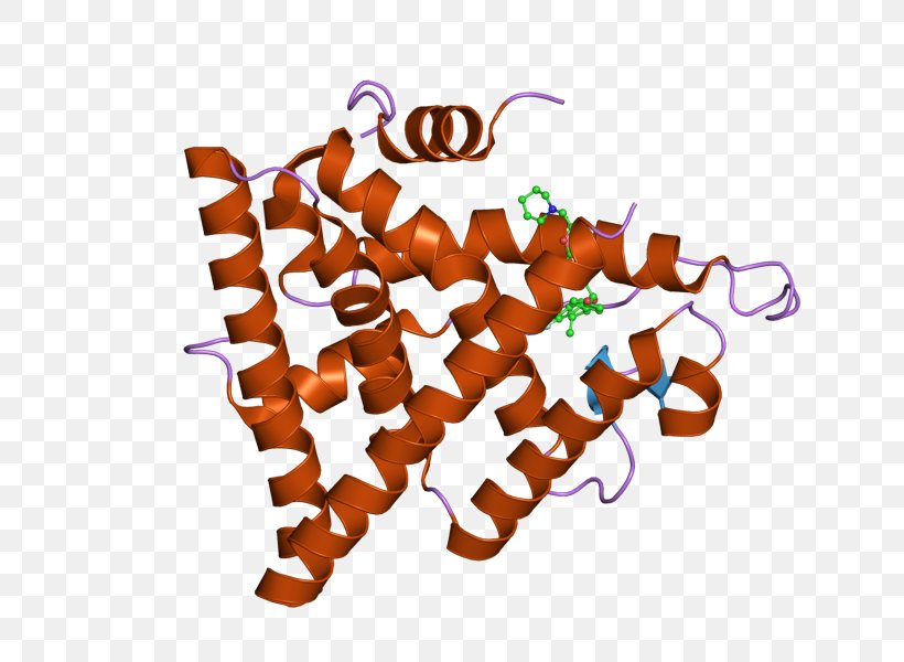 Estrogen Receptor Alpha Nuclear Receptor NRIP1, PNG, 800x600px, Watercolor, Cartoon, Flower, Frame, Heart Download Free