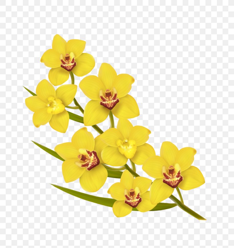 Flower Yellow Euclidean Vector Illustration, PNG, 1025x1085px, Flower, Art, Cut Flowers, Flowering Plant, Plant Download Free