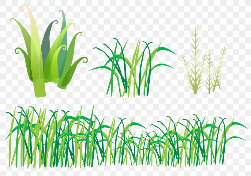 Herbaceous Plant Grass Clip Art, PNG, 2900x2036px, Herbaceous Plant, Aquarium Decor, Archive File, Commodity, Dots Per Inch Download Free