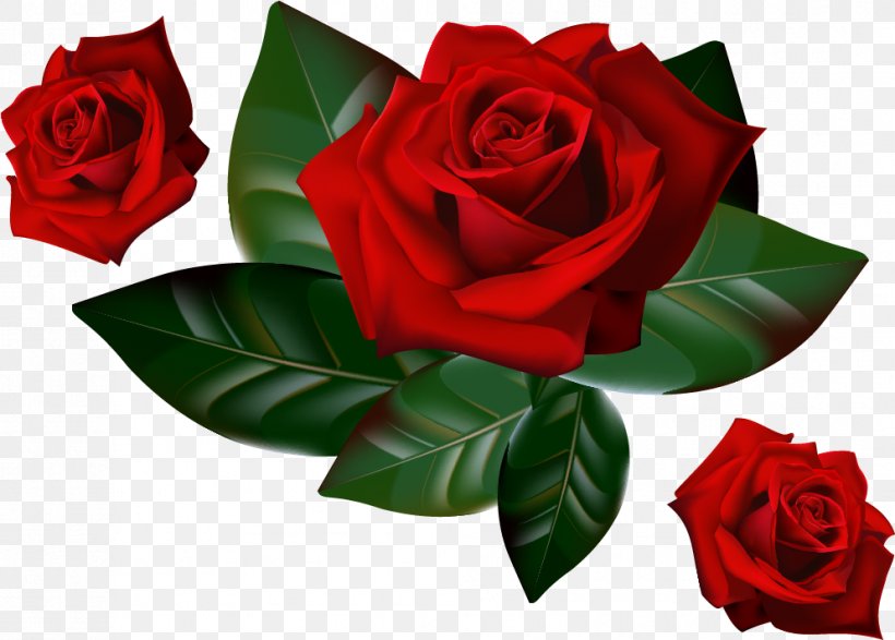 Rose Desktop Wallpaper Clip Art, PNG, 993x711px, Rose, Cut Flowers, Floral Design, Floristry, Flower Download Free