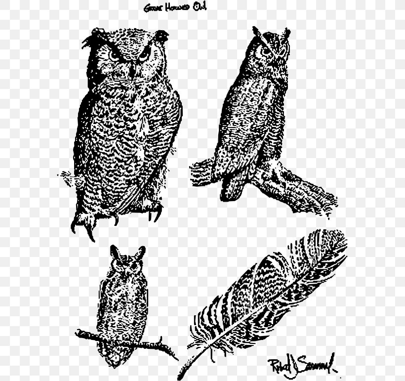 Great Horned Owl Bird Snowy Owl Barn Owl, PNG, 589x771px, Owl, Art, Barn Owl, Beak, Bird Download Free