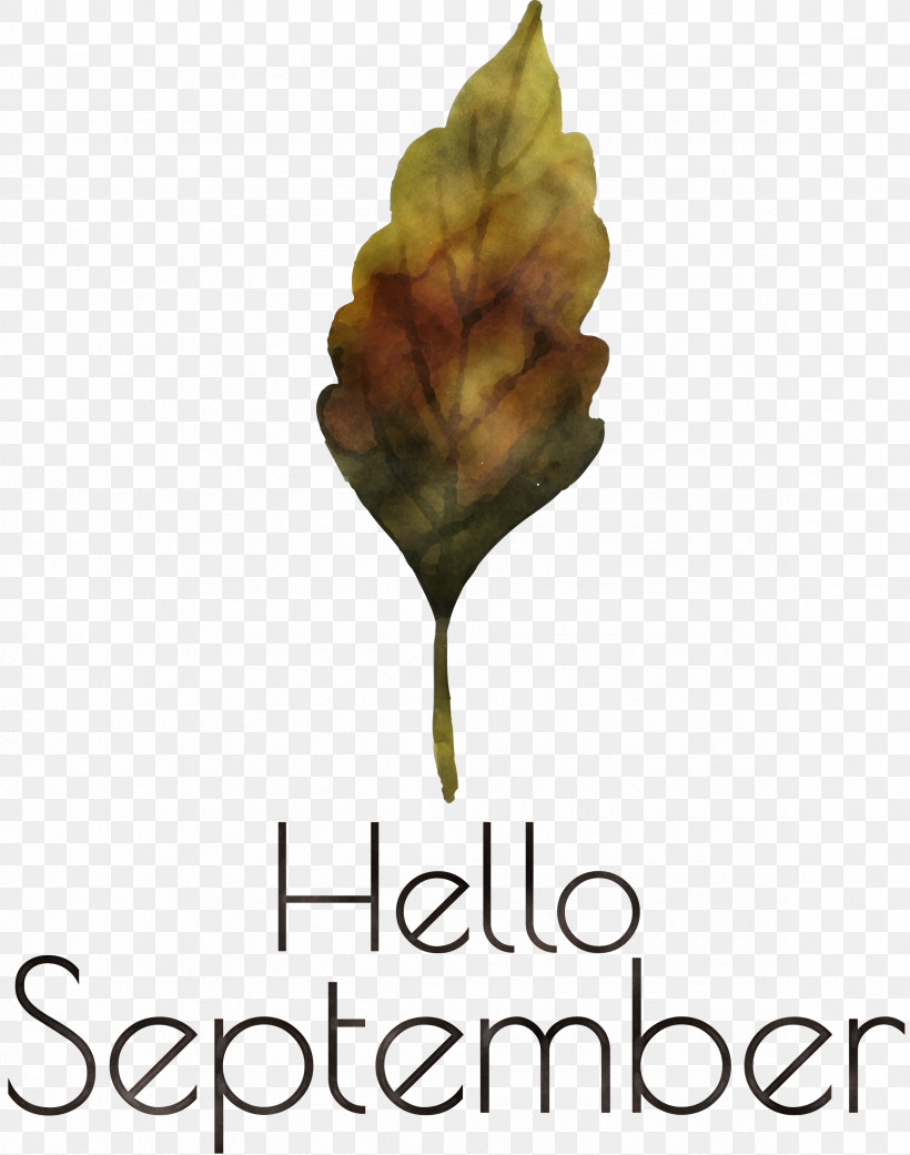 Hello September September, PNG, 2362x3000px, Hello September, Biology, Flower, Leaf, Meter Download Free