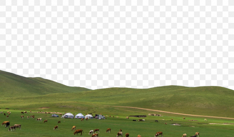 Steppe Grassland Ecoregion Hill Station Polder, PNG, 2000x1170px, Steppe, Ecoregion, Grassland, Hill Station, Polder Download Free