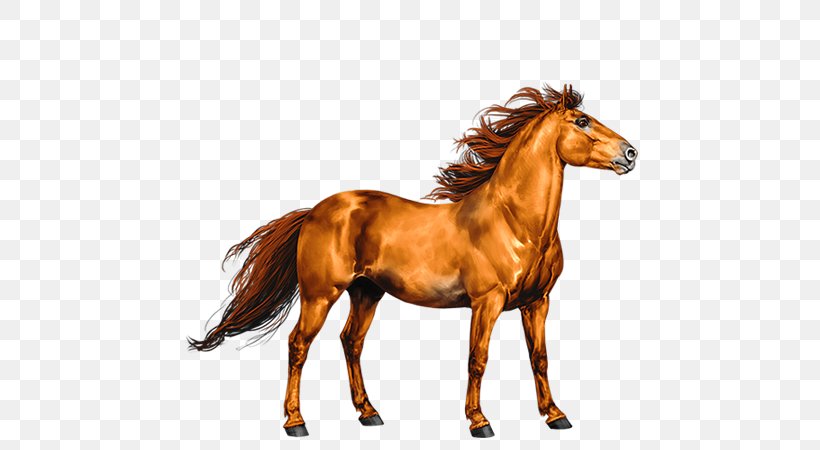 Mane Mustang Stallion Foal Colt, PNG, 600x450px, Mane, Animal Figure, Bridle, Colt, Foal Download Free