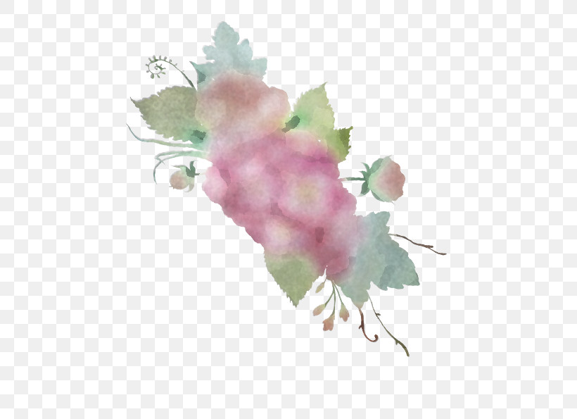 Pink Flower Plant Watercolor Paint Leaf, PNG, 595x595px, Pink, Branch, Flower, Grapevine Family, Leaf Download Free