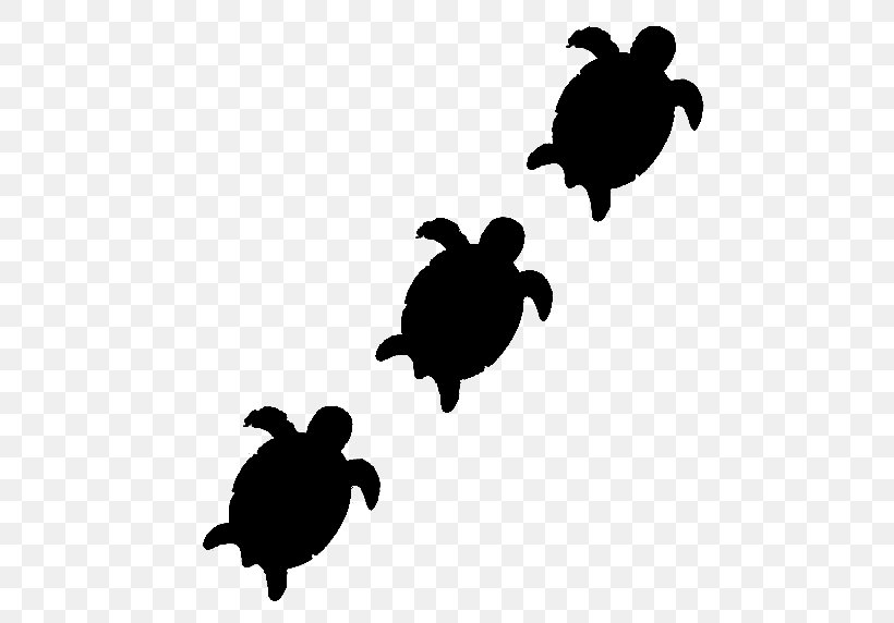 Sea Turtle Clip Art Black & White, PNG, 500x572px, Sea Turtle, Black White M, Green Sea Turtle, Loggerhead Sea Turtle, Olive Ridley Sea Turtle Download Free