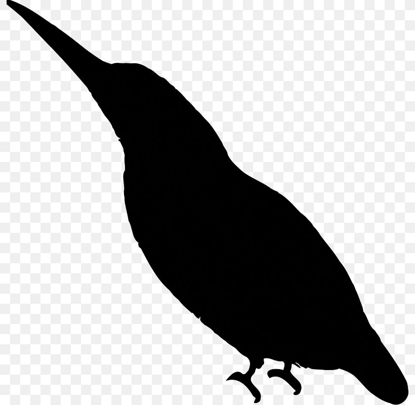 Beak Clip Art Fauna Silhouette, PNG, 794x800px, Beak, Bird, Blackbird, Fauna, New Caledonian Crow Download Free