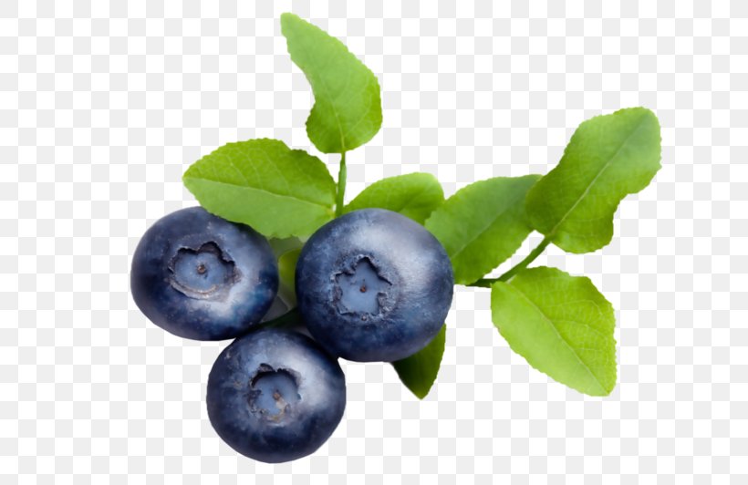 Blueberry Bilberry Lingonberry Varenye Huckleberry, PNG, 699x532px, Blueberry, Aristotelia Chilensis, Aronia, Berry, Bilberry Download Free