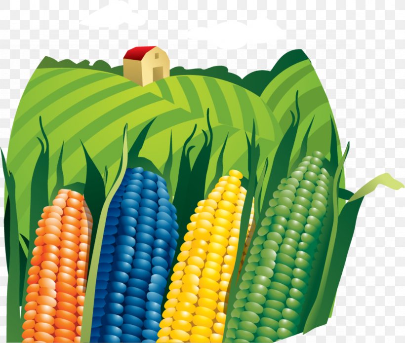 Farmer Agriculture Clip Art, PNG, 1179x1000px, Farm, Agricultural Land, Agriculture, Commodity, Corn On The Cob Download Free