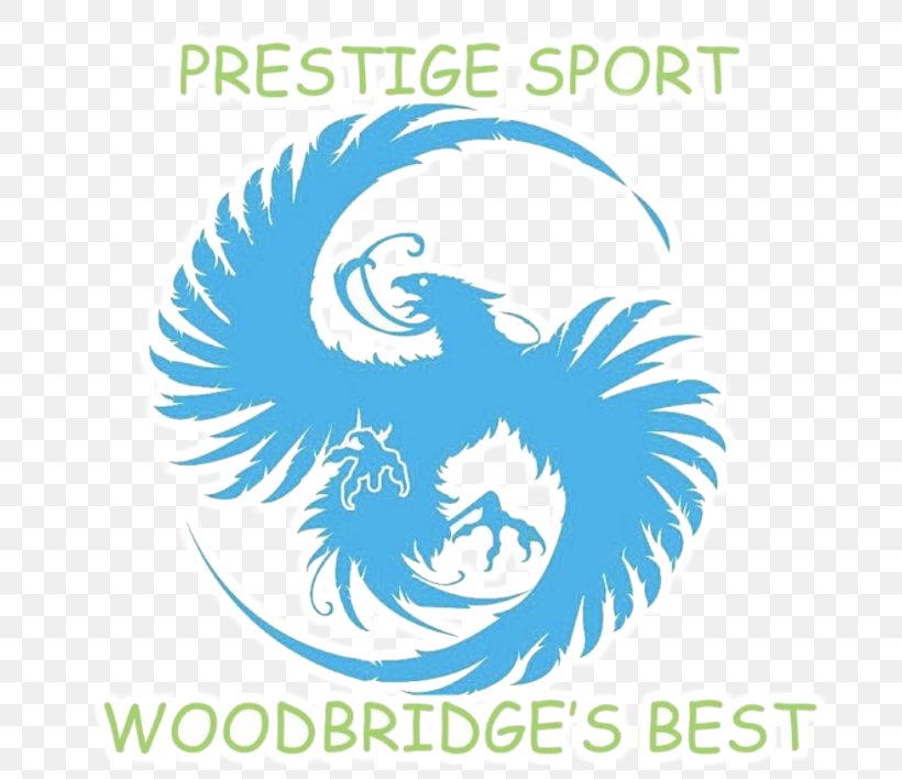 Manassas Prestige Sport Martial Arts Karate Jujutsu, PNG, 698x708px, Manassas, Area, Artwork, Brand, Dojo Download Free