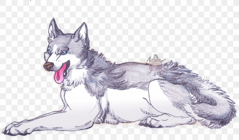 Saarloos Wolfdog Czechoslovakian Wolfdog Siberian Husky Dog Breed Sketch, PNG, 1167x684px, Saarloos Wolfdog, Artwork, Breed, Carnivoran, Czechoslovakian Wolfdog Download Free