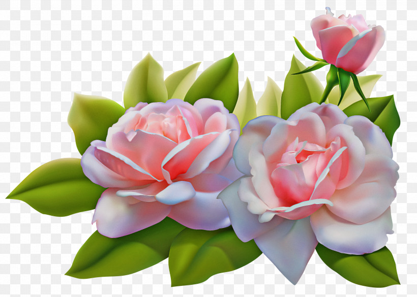 Artificial Flower, PNG, 3000x2143px, Flower, Artificial Flower, Chinese Peony, Cut Flowers, Garden Roses Download Free