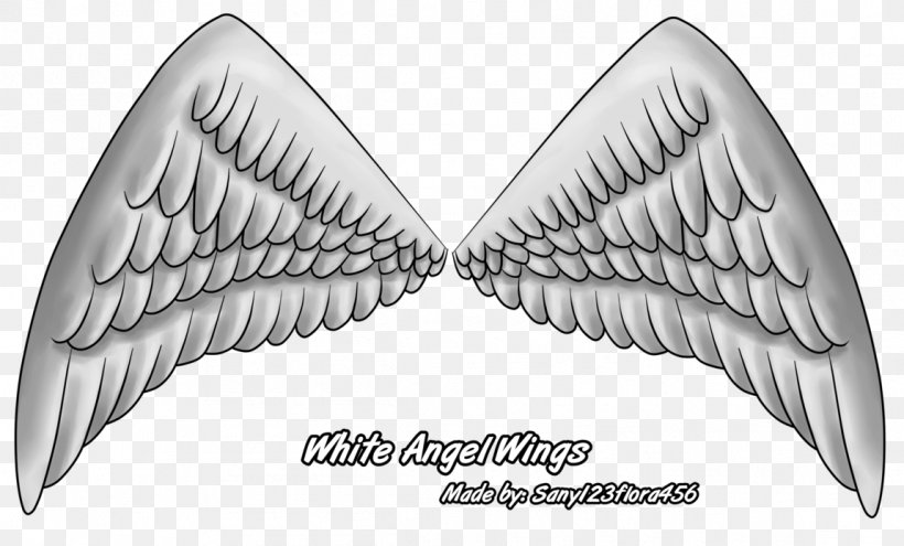 Brush Of Wings Vase .eu Blog, PNG, 1149x695px, Wing, Black And White, Blog, Conflagration, Email Download Free
