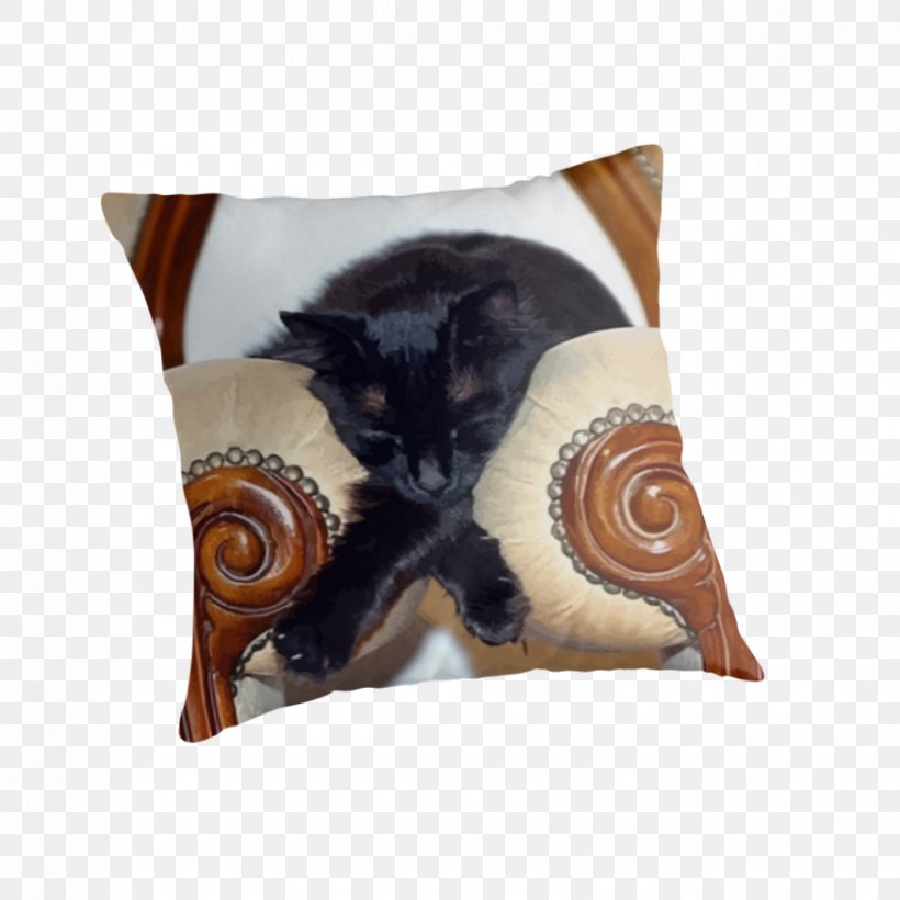 Cat Throw Pillows Cushion Sleep, PNG, 875x875px, Cat, Art, Black Cat, Chair, Curtain Download Free