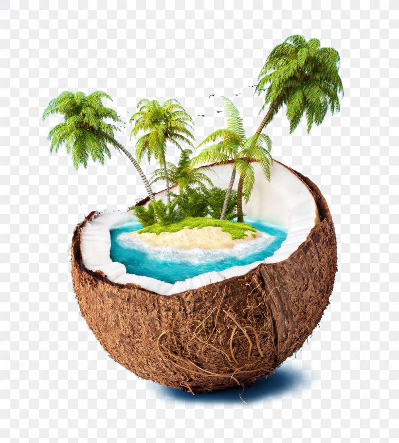 Coconut Island Coconut Water High-definition Television Wallpaper, PNG, 1024x1137px, Coconut Island, Arecaceae, Beach, Coconut, Coconut Water Download Free