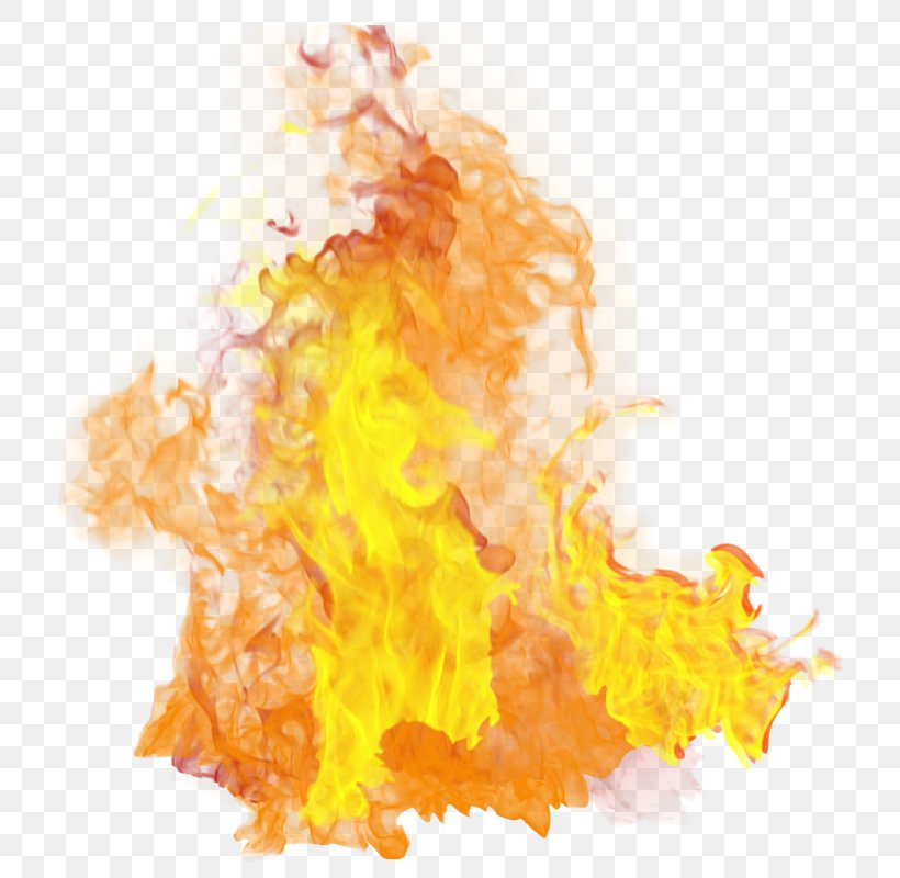 Clip Art, PNG, 746x800px, Fire, Clipping Path, Document, Flame, Heat Download Free