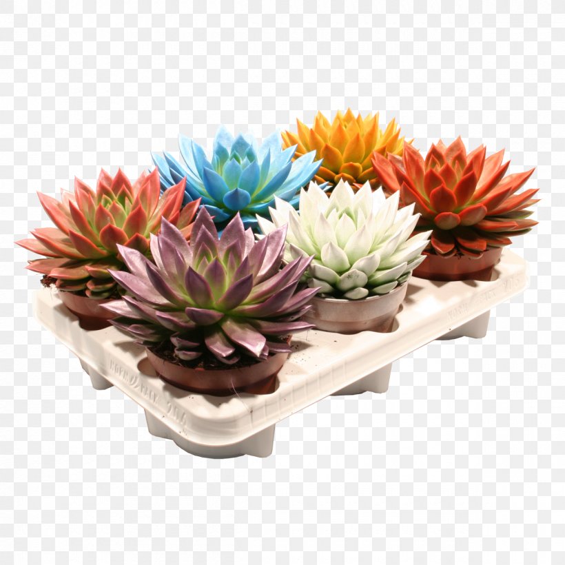 Cut Flowers Flowerpot Artificial Flower Houseplant, PNG, 1200x1200px, Cut Flowers, Artificial Flower, Flower, Flowerpot, Houseplant Download Free