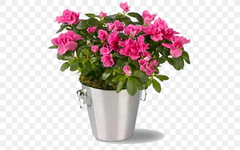 Floristry Flower Delivery Flower Bouquet Floral Design, PNG, 512x512px, Floristry, Annual Plant, Azalea, Basket, Busy Lizzie Download Free