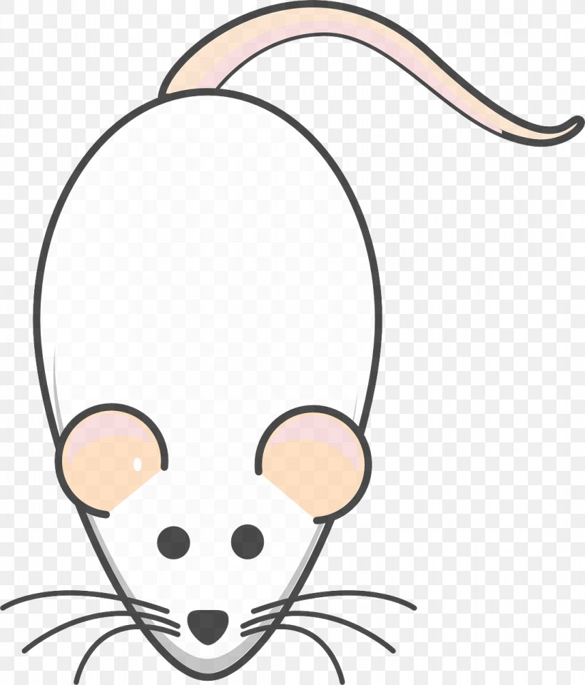 Head Nose Snout Rat Cartoon, PNG, 1093x1280px, Head, Cartoon, Line Art, Mouse, Nose Download Free