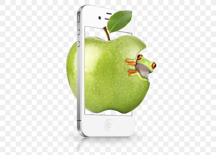 IPhone 4 IPhone 5 Apple Google Images, PNG, 591x591px, Iphone 4, Advertising, Apple, Food, Fruit Download Free