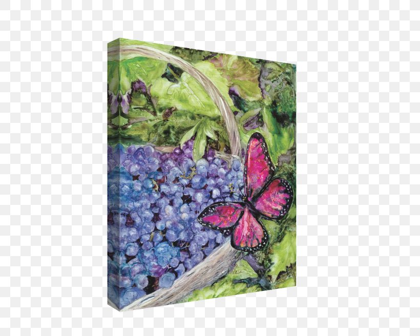 Lilac Canvas Grape Rainbow Card Company Inch, PNG, 500x656px, Lilac, Butterfly, Canvas, Flower, Flowering Plant Download Free