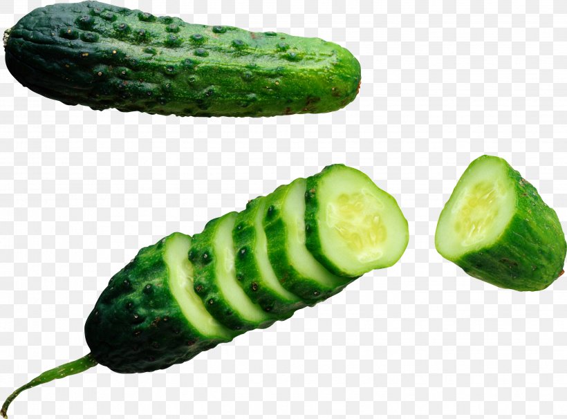 Pickled Cucumber Vegetable Half Sour Pickles Tomato, PNG, 2887x2134px, Cucumber, Cornichon, Cucumber Gourd And Melon Family, Cucumis, Cultivar Download Free